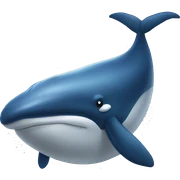 Whale sticker