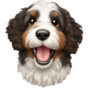 Bernedoodle flying sticker