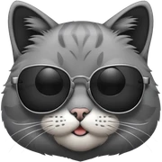 Cat with sunglasses sticker