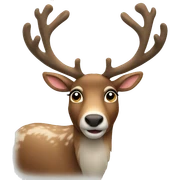 reindeer  sticker