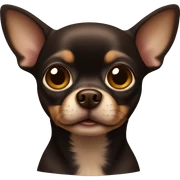 Dark brown chihuahua sticker