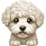 Maltipoo puppy sticker