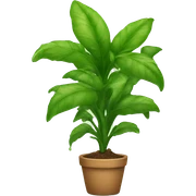 plants sticker