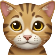tabby cat sticker