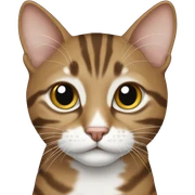 Brown and white tabby sticker