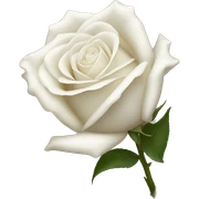 White Rose  sticker