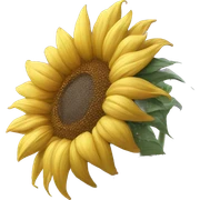 Sunflower pastel sticker