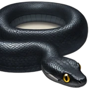 Black snake sticker