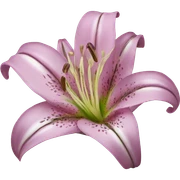 Lily flower sticker