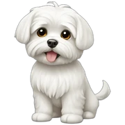 maltese sticker