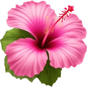 Mystical hibiscus flower pink  sticker