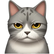 sad cat sticker