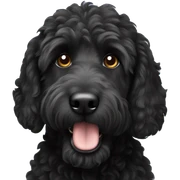 black labradoodle  sticker