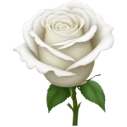 white rose sticker