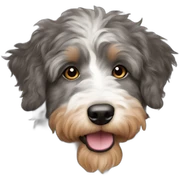 aussiedoodle sticker