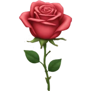 Rose sticker
