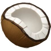 Coconut with eagle claws sticker