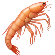 shrimp sticker
