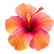 Hibiscus sticker
