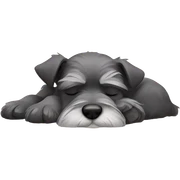 Schnauzer sleeping sticker