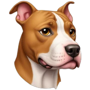 Pitbull sticker