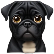 Black pug sticker