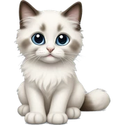Ragdoll kitten sitting  sticker