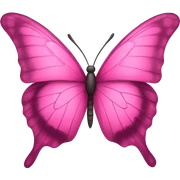 pink butterfly  sticker