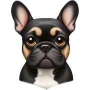 French bulldog black tan  sticker