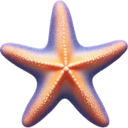 starfish sticker