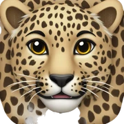Leopard peart sticker
