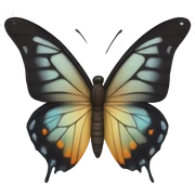 Butterfly sticker