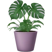 Monstera plant in mauve pot  sticker