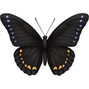 Black Butterfly sticker