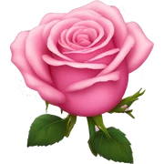 Pink rose sticker