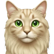 Beige cat with green eyes long hair sticker