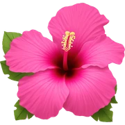 Pink hibiscus  sticker