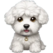 bichon maltese mini toy sticker