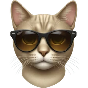 Cat with sunglasses sticker