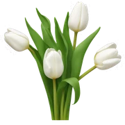 White tulips  sticker
