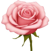 rose rose sticker