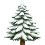  actual white fir christmas tree isolated.  sticker