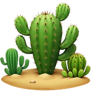 Cactus sticker