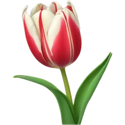 Tulip sticker