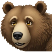 Bear sticker