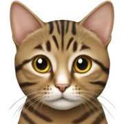 Tabby cat sticker