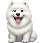 Samoyed sticker
