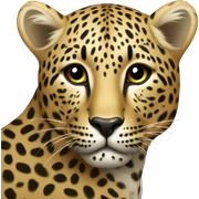 leopard  sticker