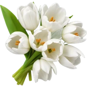 white tulip bouquet  sticker
