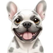 Merle French bulldog sticker